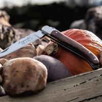 COLTELLO SERRAMANICO Laguiole Palissandro