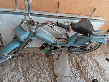 motorino 50
