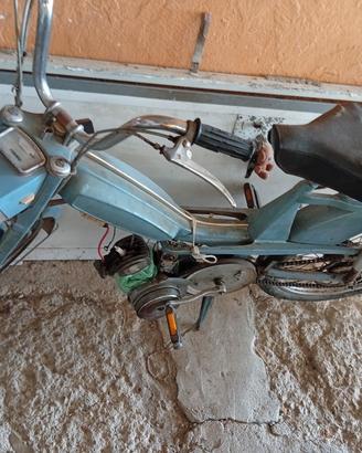 motorino 50