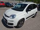 fiat-panda-1-3-mjt-4x4-pop-van-2-posti