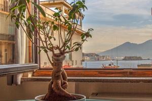 Appartamento Via Orazio Napoli