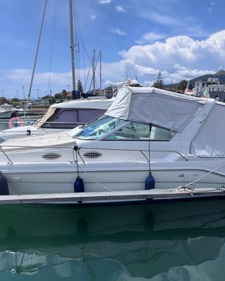 Barca Sea ray 290 soundancer