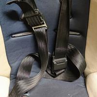 Sediolino auto bambini 