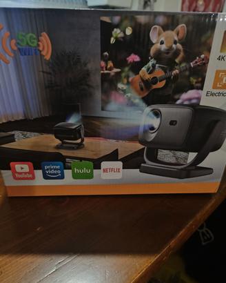 Multimedia projector