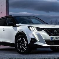 Ricambi peugeot 2008 2022