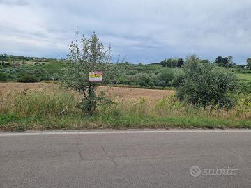 Terreno in c.da triglie a CRISPIANO