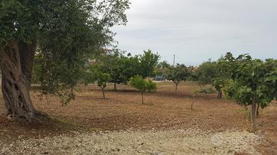 Terreno edificabile