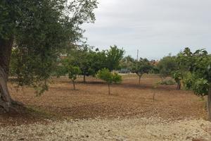 Terreno edificabile