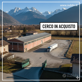 Capannone Artigianale / Produttivo