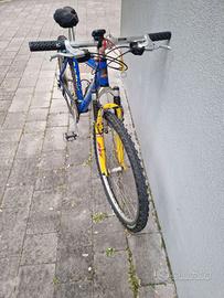 Mountain bike