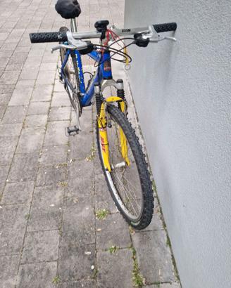 Mountain bike