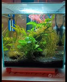 Acquario newa 45l