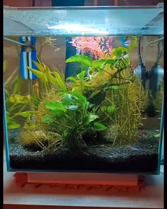 Acquario newa 45l