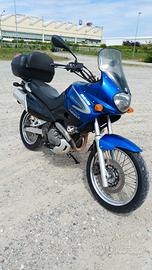 Suzuki freewind monocilindrico 650cc