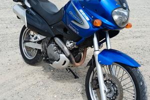 Suzuki freewind monocilindrico 650cc