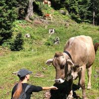 Lavoro in agricoltura