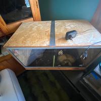 Teca rettili anfibi ragni