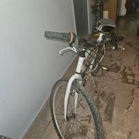 bici MTB