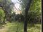 Immagine 23