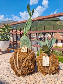 kokedama piante