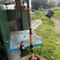 Canna da pesca con mulinello