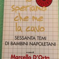📖  Io speriamo che me la cavo.
