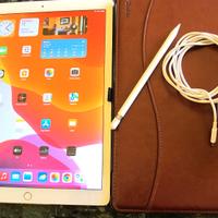 I PAD PRO  256 GB 12,9 Wifi  Retina Agg.16-7-14