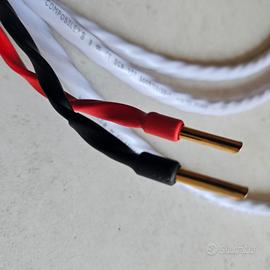 Wireworld Solstice 8 diffusori