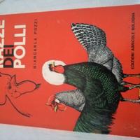 Le Razze dei Polli -Edagricole