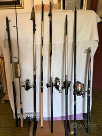 Canne da pesca daiwa