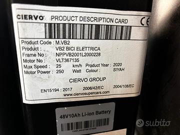 bicicletta elettrica 