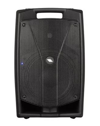 Cassa Acustica PROEL V10 Pro