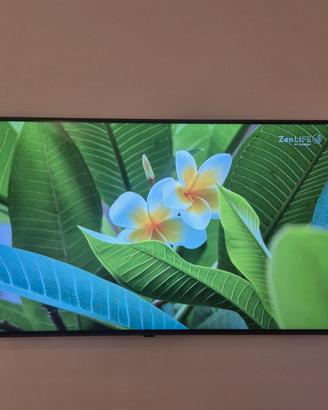 LG QNED 50 pollici (modello 50qned826re)