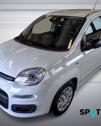 FIAT Panda Pandina Van Pop 1.0 Hybrid 65cv S&S -