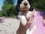 Immagine 1