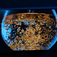 Monitor 24,5" 1920x1080p 300/320Hz