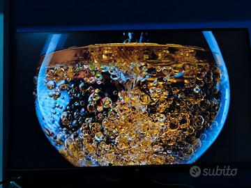 Monitor 24,5" 1920x1080p 300/320Hz