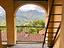 Immagine 11