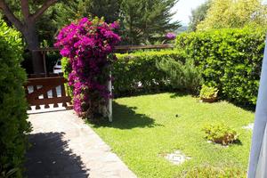 Isola d'elba villetta vicino al mare piscina