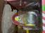 Immagine 2