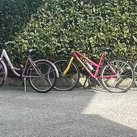 Biciclette lotto