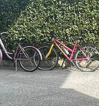 Biciclette lotto
