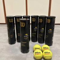 Palline da Tennis Wilson (4x7)