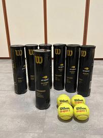 Palline da Tennis Wilson (4x7)