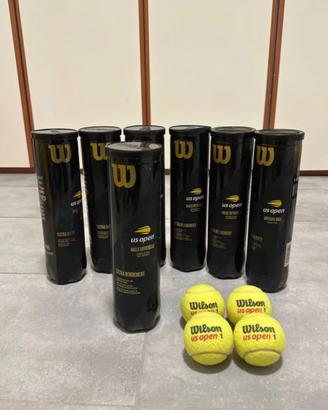 Palline da Tennis Wilson (4x7)