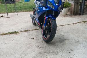 Aprilia rs 50 (88)