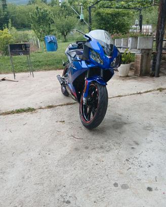 Aprilia rs 50 (88)