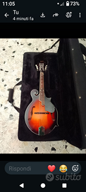 mandolino americano LAX