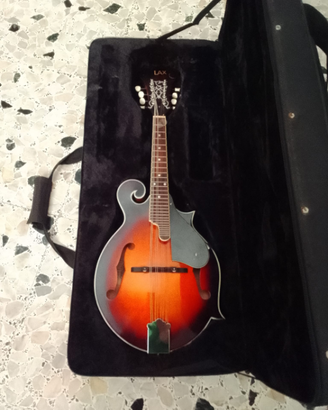 mandolino americano LAX