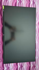 monitor LG 